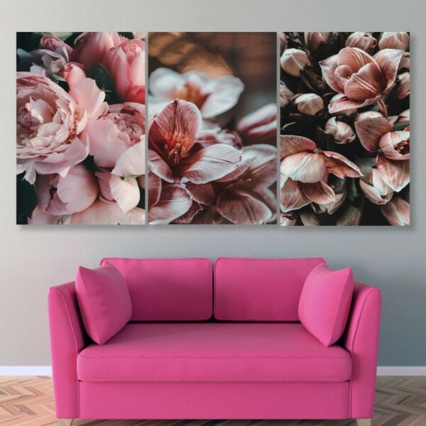 baytonia_main product photo
