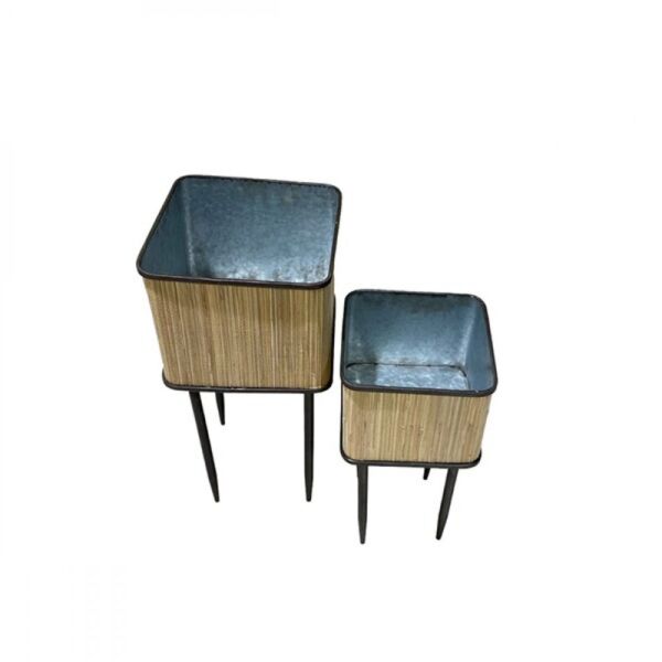 baytonia_main product photo