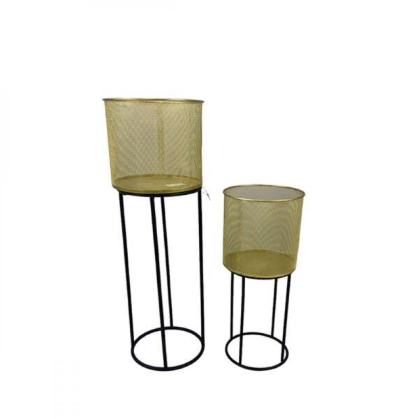 baytonia_main product photo