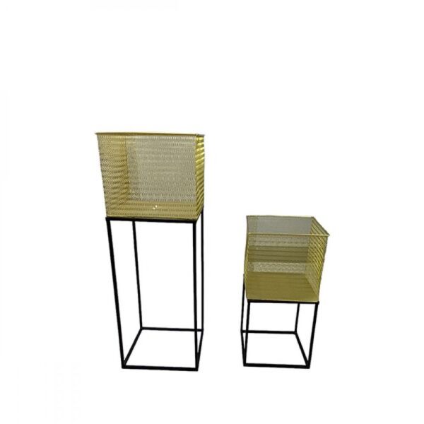 baytonia_main product photo