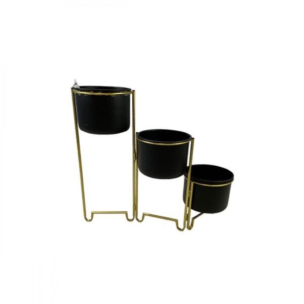 baytonia_main product photo
