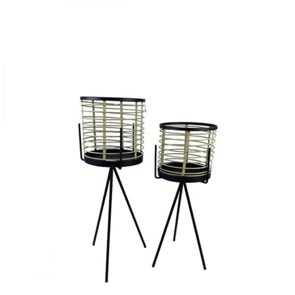 baytonia_main product photo