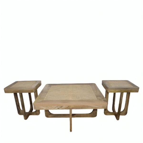 baytonia_main product photo