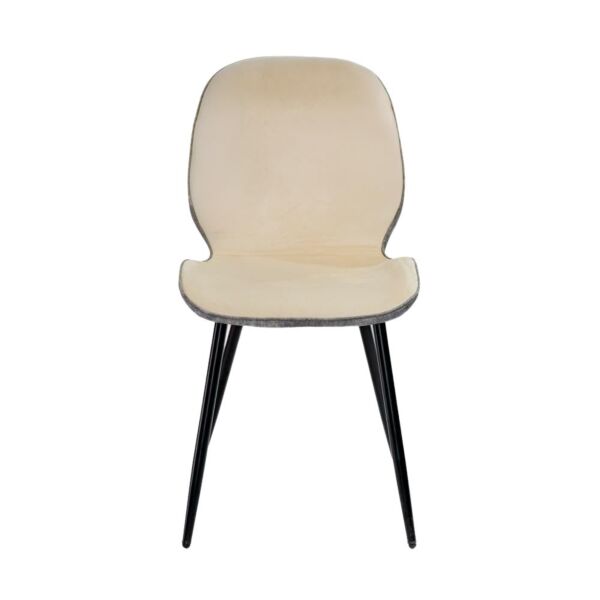 baytonia_main product photo