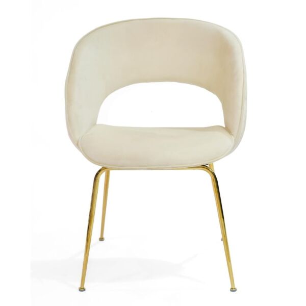 baytonia_main product photo