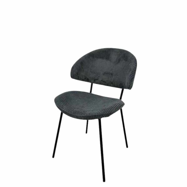baytonia_main product photo