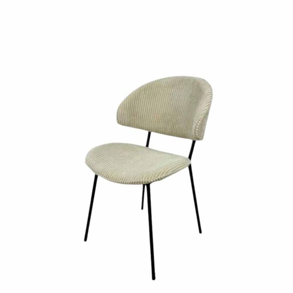 baytonia_main product photo