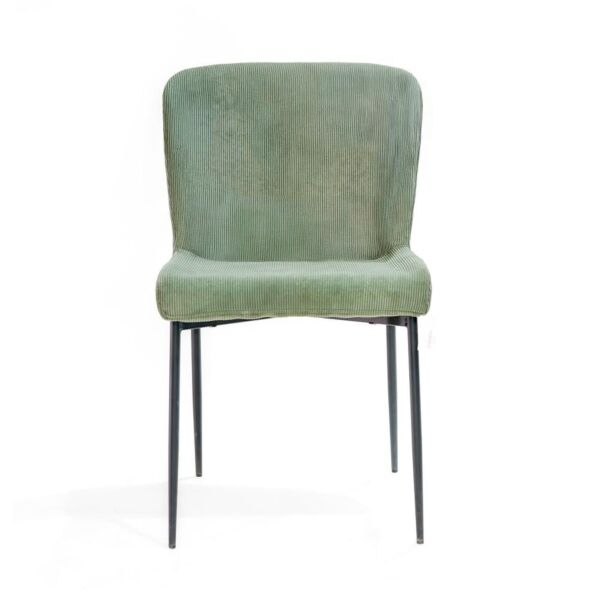 baytonia_main product photo