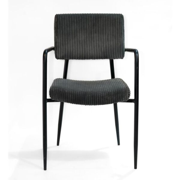 baytonia_main product photo