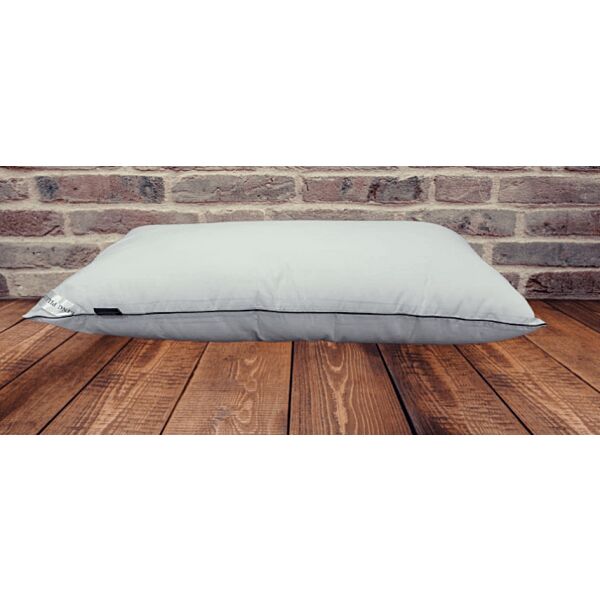 baytonia_main product photo