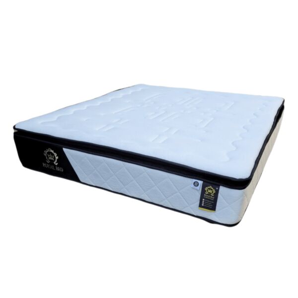 baytonia_main product photo