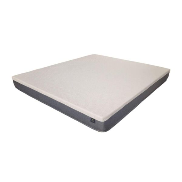 baytonia_main product photo