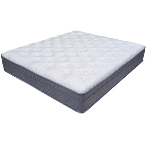 baytonia_main product photo
