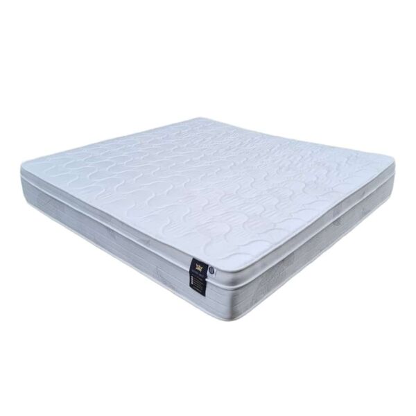 baytonia_main product photo