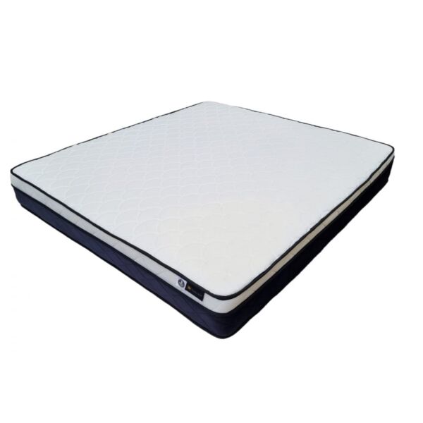 baytonia_main product photo