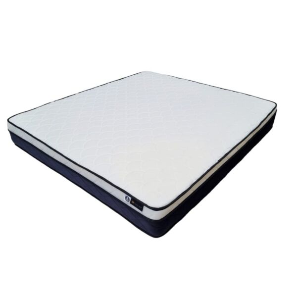 baytonia_main product photo