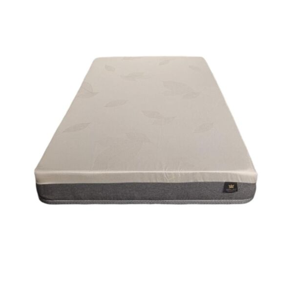 baytonia_main product photo