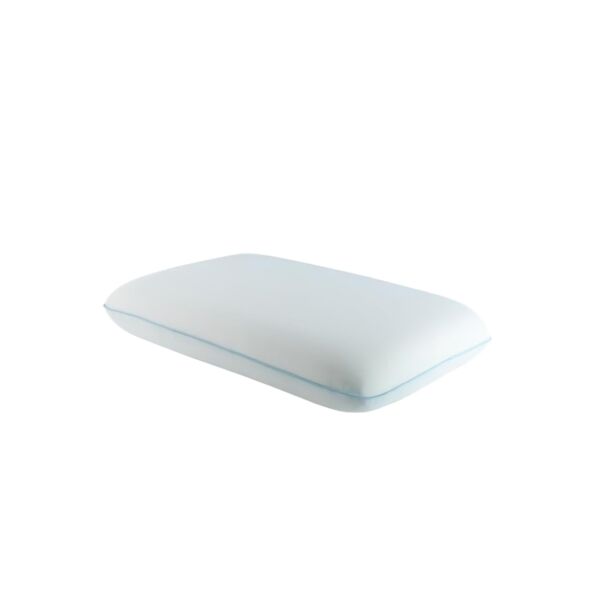 baytonia_main product photo