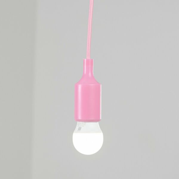 baytonia_main product photo