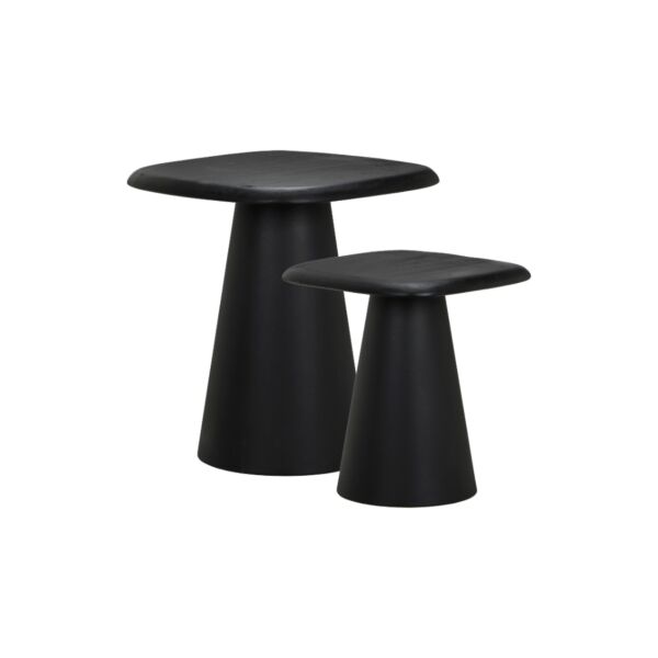 baytonia_main product photo