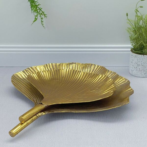 baytonia_main product photo