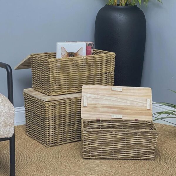 baytonia_main product photo