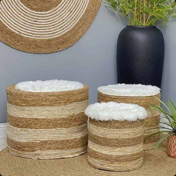 baytonia_main product photo