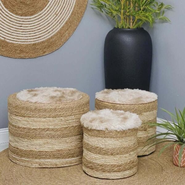 baytonia_main product photo