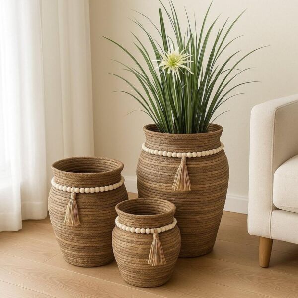 baytonia_main product photo