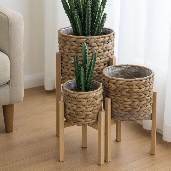 baytonia_main product photo