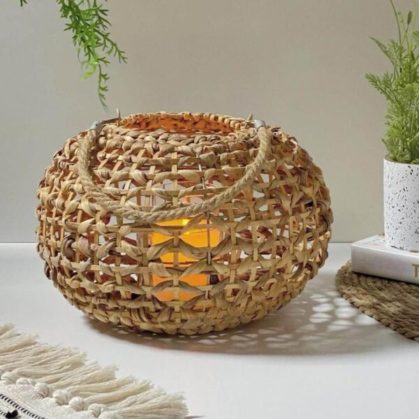 baytonia_main product photo
