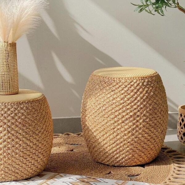 baytonia_main product photo
