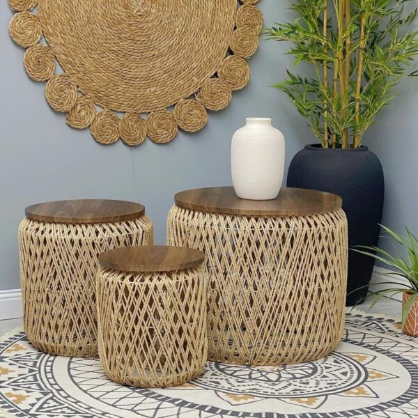 baytonia_main product photo
