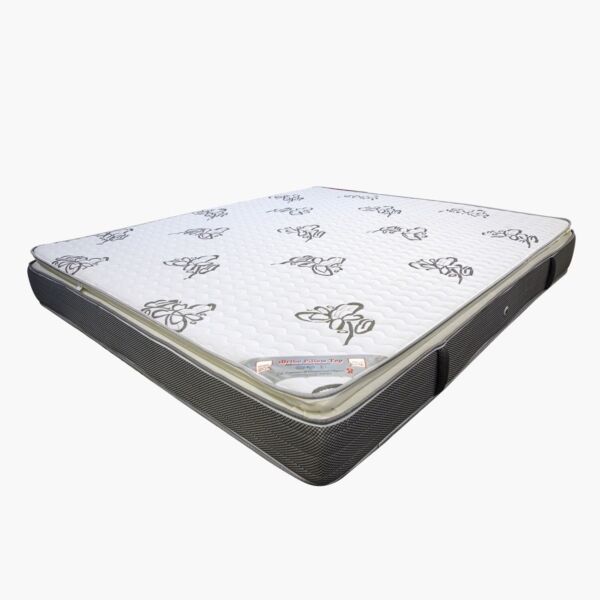 baytonia_main product photo