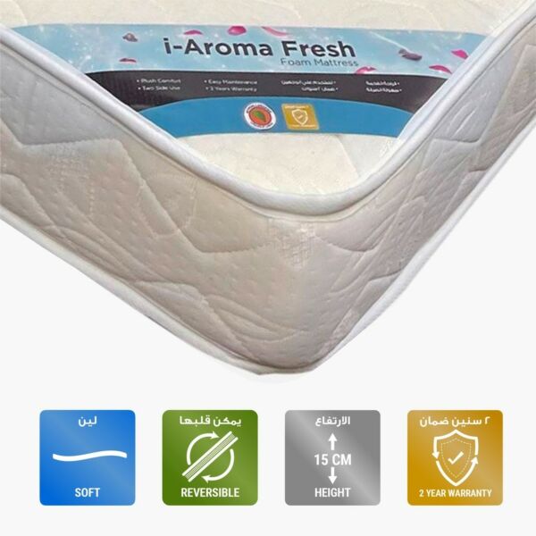 baytonia_main product photo