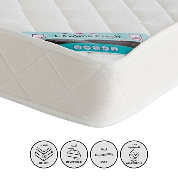 baytonia_main product photo