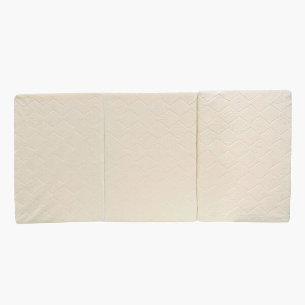 baytonia_main product photo