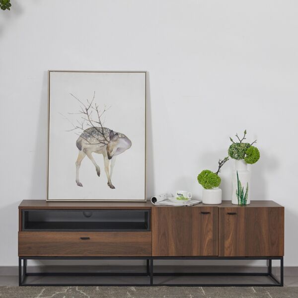 baytonia_main product photo