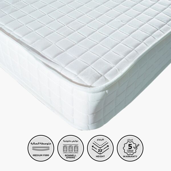 baytonia_main product photo