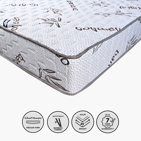 baytonia_main product photo