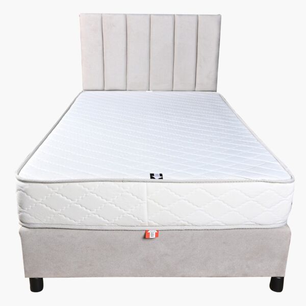 baytonia_main product photo