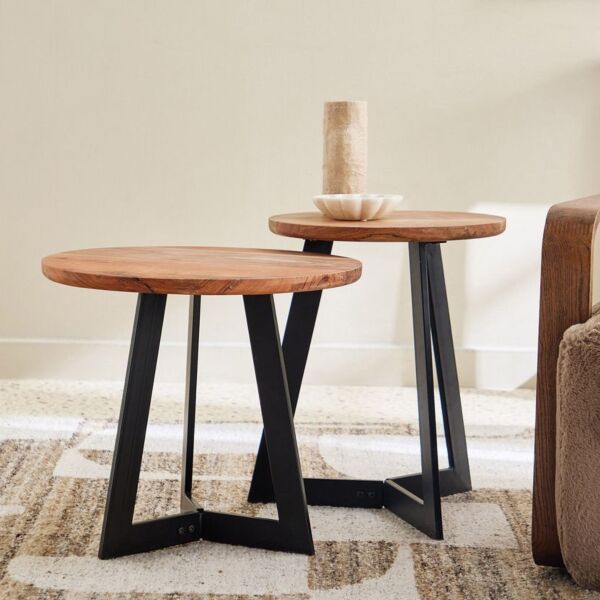 baytonia_main product photo