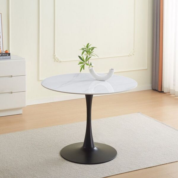 baytonia_main product photo