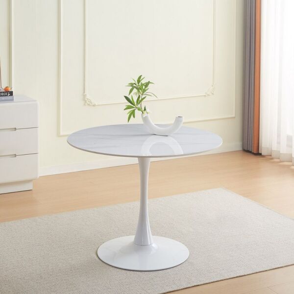 baytonia_main product photo