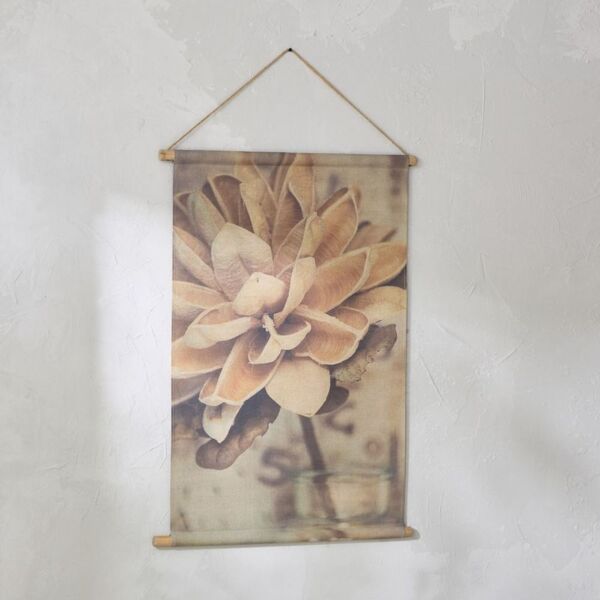 baytonia_main product photo