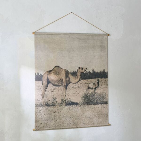 baytonia_main product photo