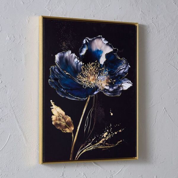 baytonia_main product photo