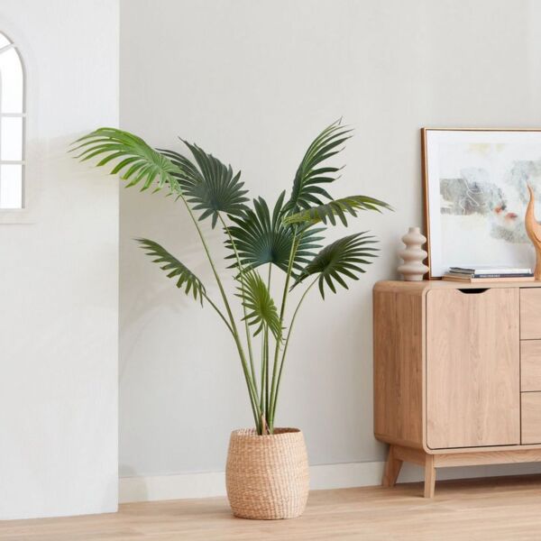 baytonia_main product photo