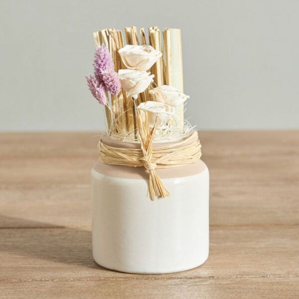 baytonia_main product photo