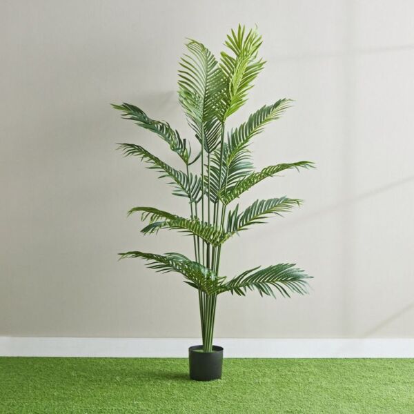 baytonia_main product photo